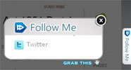 The Ignite Social Media Follow Me Plugin